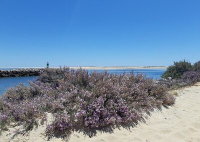casa fuseta - plage fuseta