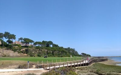 Golf in Algarve: discover the best courses and the perfect stay.