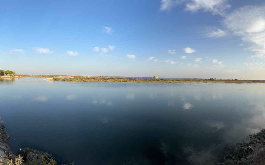 Villa with pool in Algarve: The ultimate guide to a luxury stay