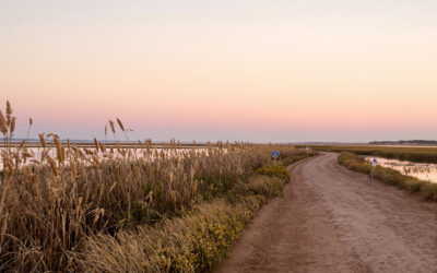 Randonnée Ria Formosa : guide complet des sentiers du parc naturel en Algarve