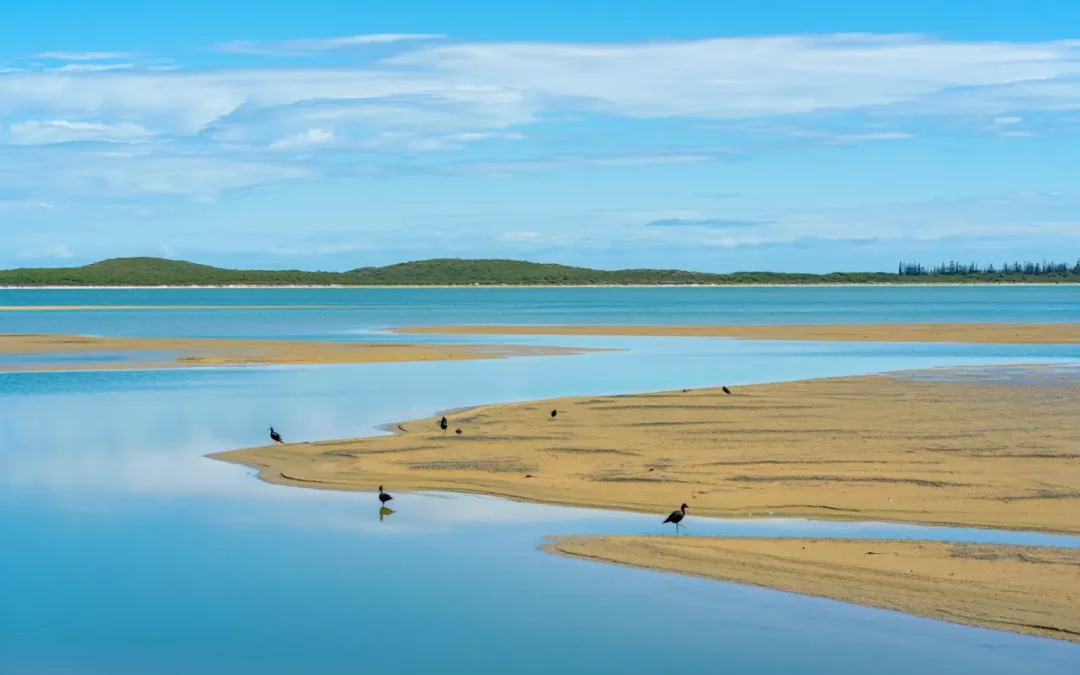 Guide des parcs naturels de l&rsquo;Algarve : visiter Ria Formosa