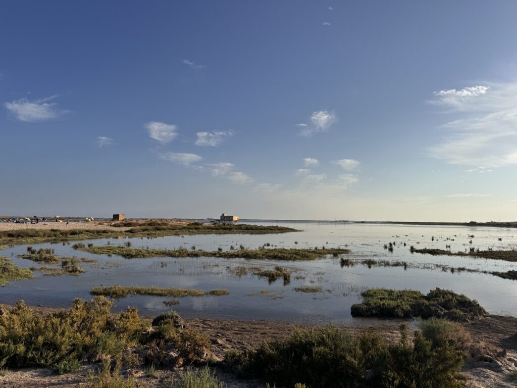 Ria Formosa - Fuseta , Algarve