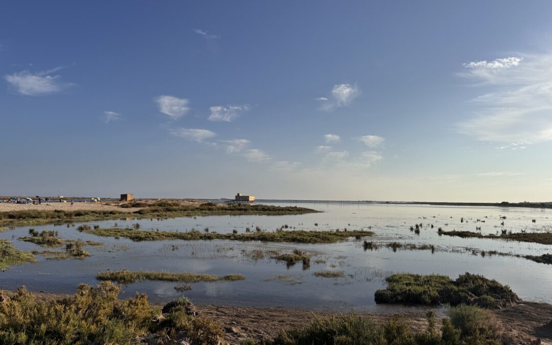 Ria Formosa - Fuseta , Algarve