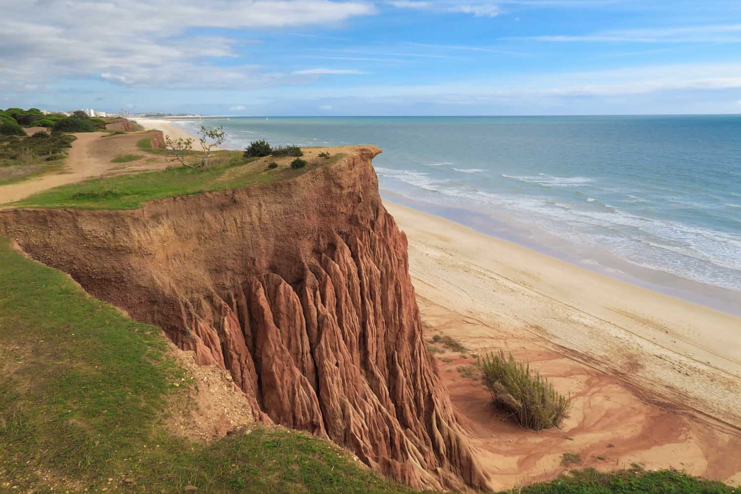 Cliff overlooking a sandy beach and blue sea in central Algarve, Portugal, with grassy edge and clear sky. is albufeira east or west algarve?