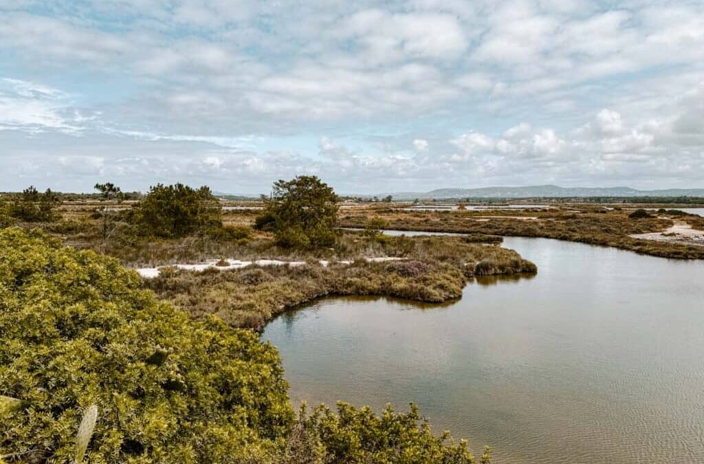 Is Ria Formosa worth a visit? The Algarve’s natural park