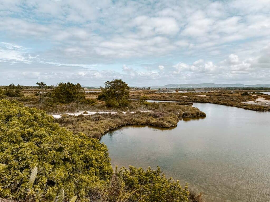 Beautiful paradise of Ria Formosa Natural Park in Algarve
